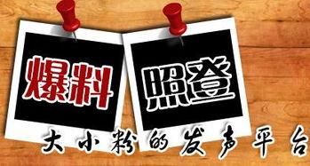 湘新闻爆料,揭秘某神秘事件背后真相 第1张 湘新闻爆料,揭秘某神秘事件背后真相 第1张